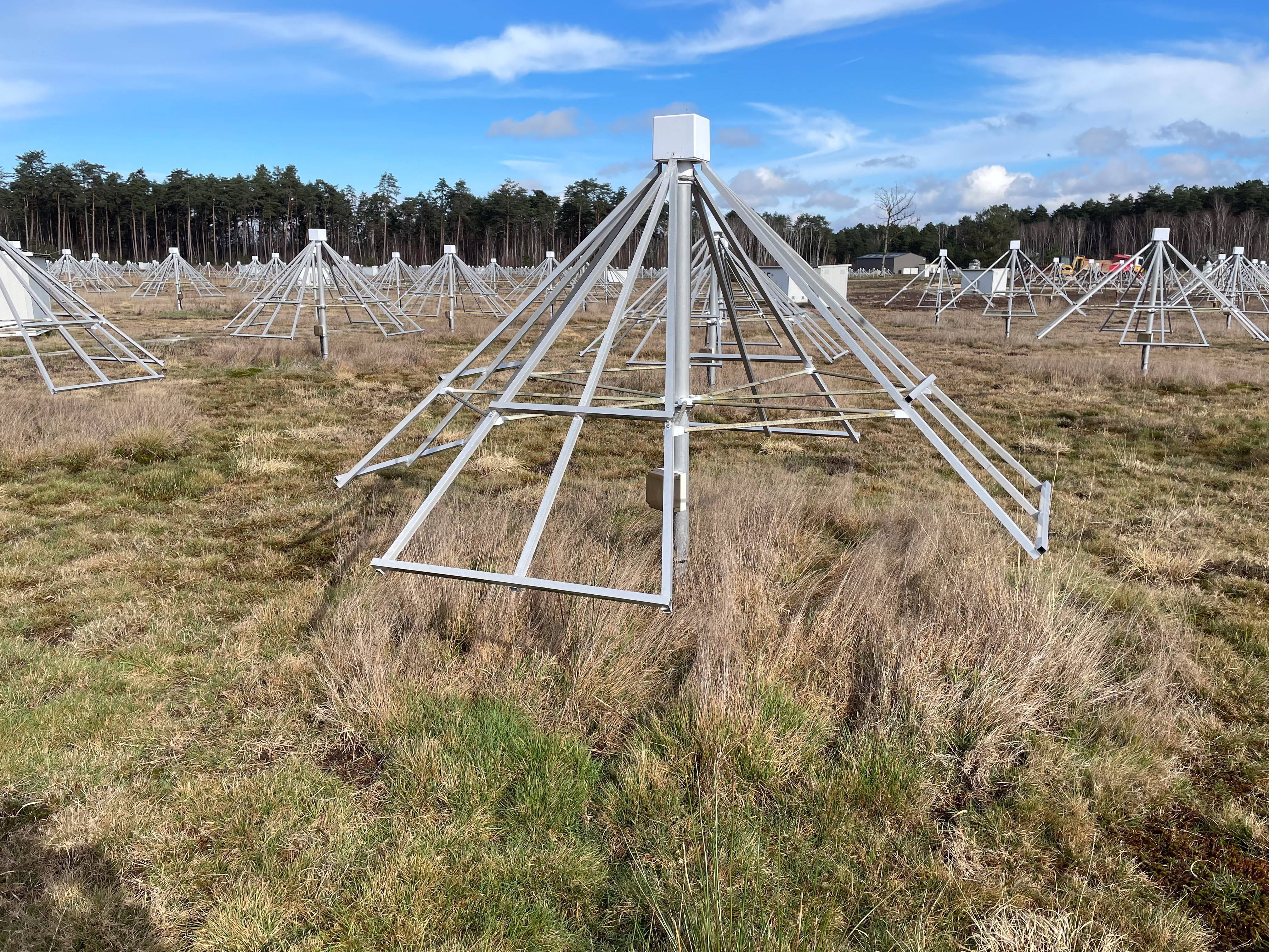 Photo of NenuFAR radio telescopes in a field